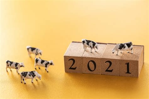 辛丑年2021|2021年は丑年！干支の「辛丑」の特徴や意味につい。